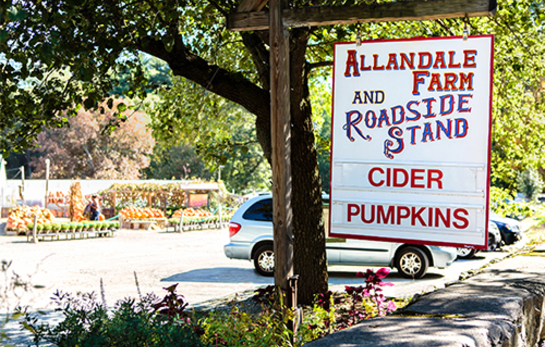 Allandale Farm