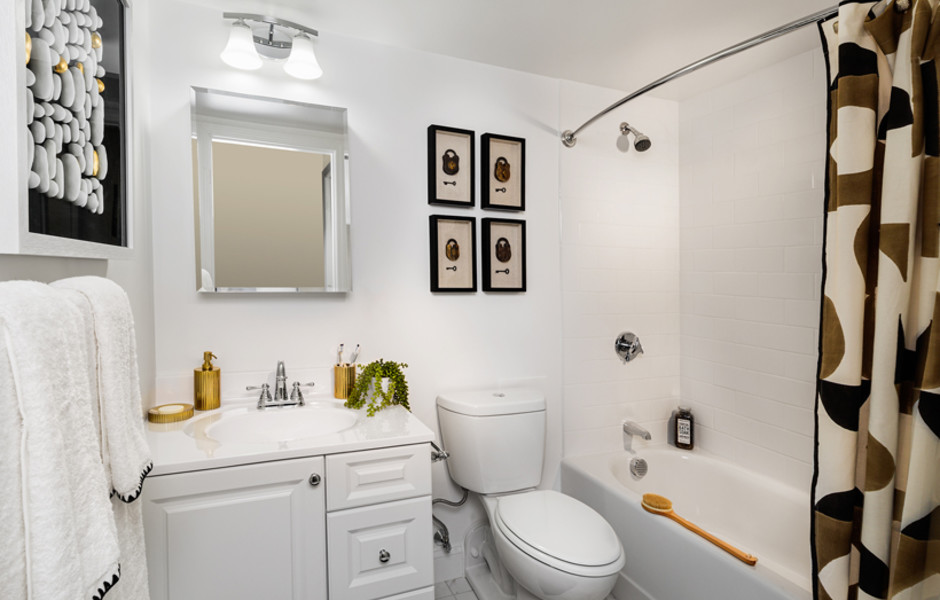 Arlington and Berkeley Style Bathroom